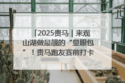2025贵马｜来观山湖做最靓的“显眼包”！贵马跑友赛前打卡点燃奔跑热情