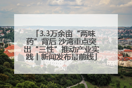 3.3万余亩“两味药”背后 沙湾重点突出“三性”推动产业实践丨新闻发布最前线