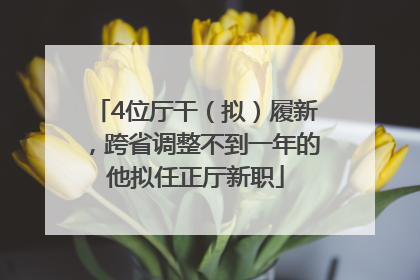 4位厅干（拟）履新，跨省调整不到一年的他拟任正厅新职
