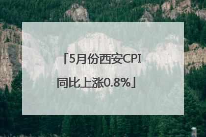 5月份西安CPI同比上涨0.8%