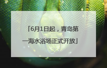 6月1日起，青岛第一海水浴场正式开放