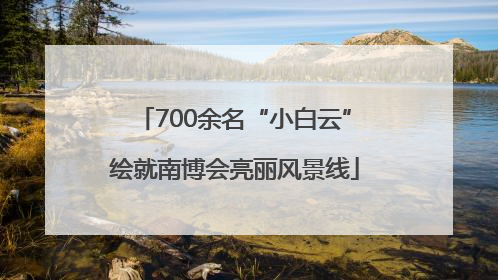 700余名“小白云”绘就南博会亮丽风景线
