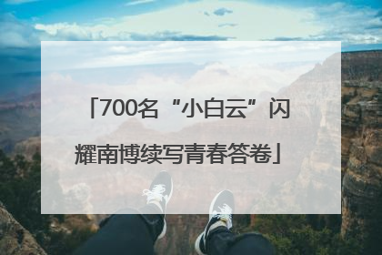 700名“小白云”闪耀南博续写青春答卷