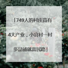 749人的村庄竟有4大产业，小官村一村多品铺就富民路
