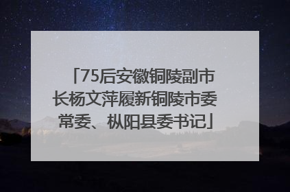 75后安徽铜陵副市长杨文萍履新铜陵市委常委、枞阳县委书记