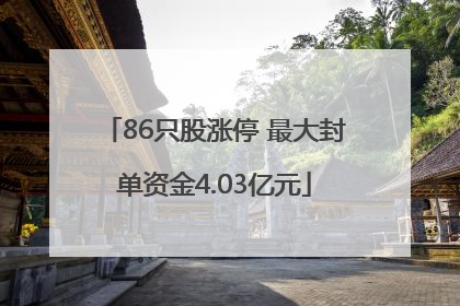 86只股涨停 最大封单资金4.03亿元