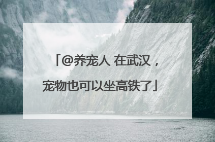 @养宠人 在武汉，宠物也可以坐高铁了