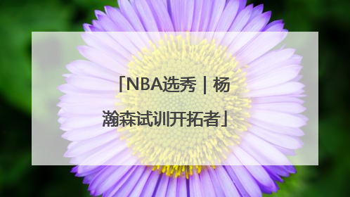 NBA选秀｜杨瀚森试训开拓者