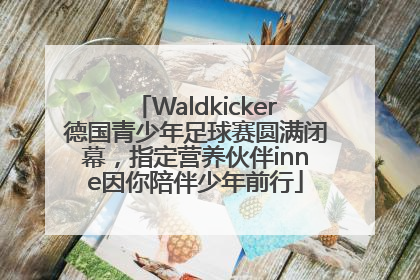 Waldkicker德国青少年足球赛圆满闭幕,指定营养伙伴inne因你陪伴少年前行
